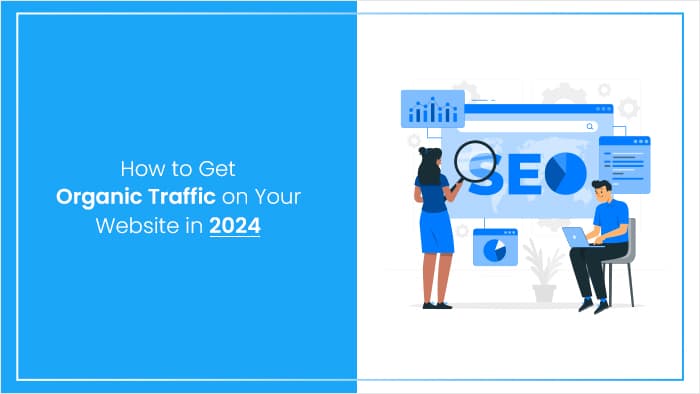Organic Traffic Trend 2024