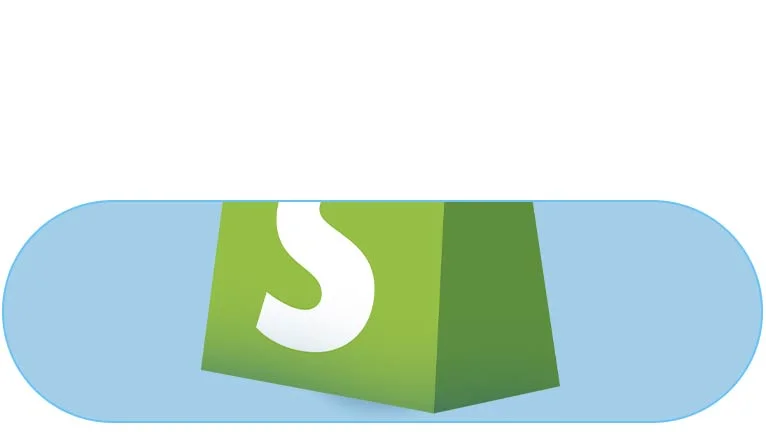shopify - online store